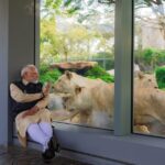 PM Modi's visit to Vantara showcases India's dedication to wildlife conservation. Explore Vantara’s rescue efforts, tech-driven conservation, and future plans for protecting endangered species and biodiversity.